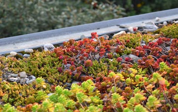 the cost of Thursby green roof installation
