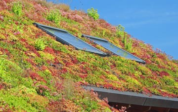 Thursby living roof systems